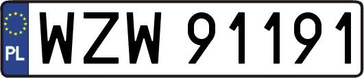 WZW91191