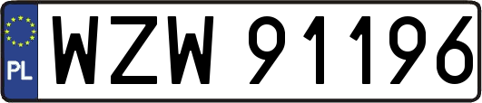 WZW91196