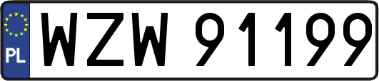 WZW91199