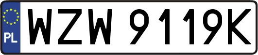 WZW9119K