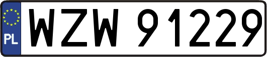 WZW91229