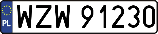 WZW91230