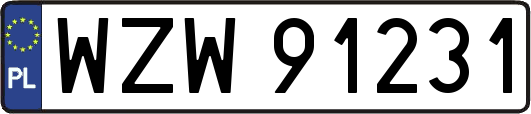 WZW91231