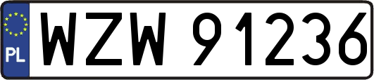 WZW91236