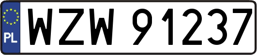 WZW91237