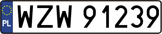 WZW91239