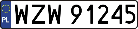 WZW91245