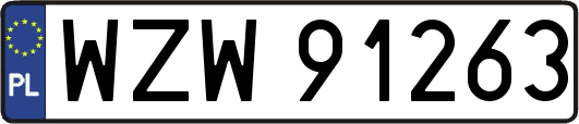 WZW91263