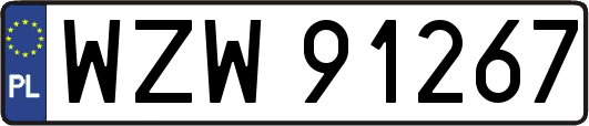 WZW91267