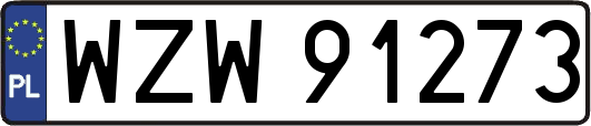 WZW91273