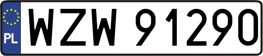 WZW91290