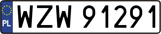 WZW91291