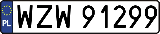 WZW91299