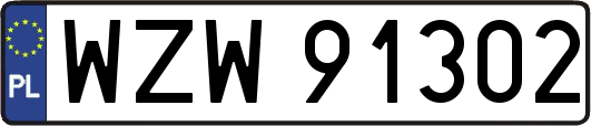 WZW91302