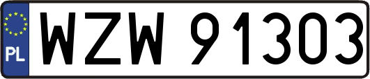 WZW91303
