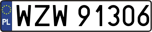 WZW91306