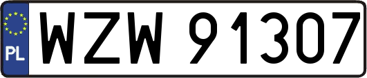 WZW91307