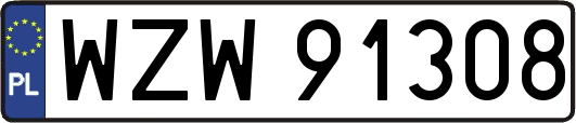 WZW91308