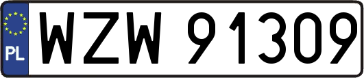 WZW91309
