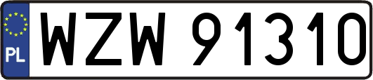 WZW91310