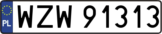 WZW91313