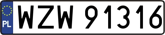 WZW91316