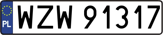 WZW91317