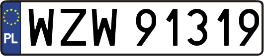 WZW91319