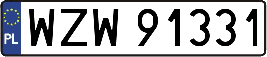 WZW91331