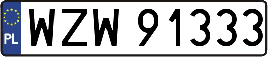 WZW91333