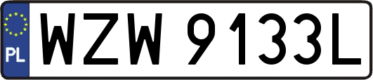 WZW9133L