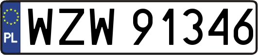 WZW91346