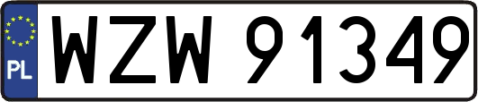 WZW91349
