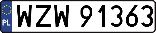WZW91363