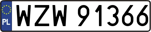 WZW91366