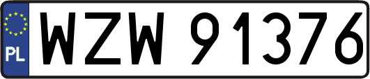 WZW91376