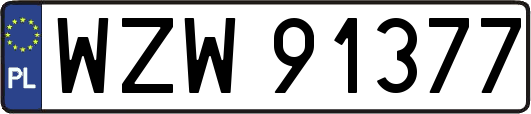 WZW91377