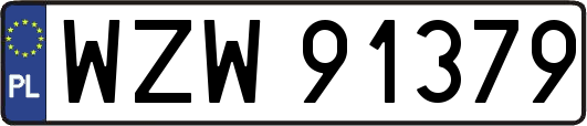 WZW91379