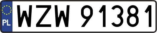 WZW91381