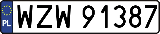 WZW91387