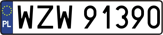 WZW91390