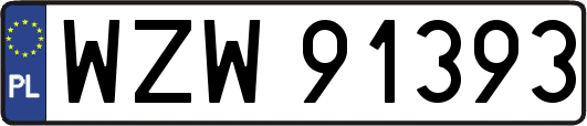 WZW91393