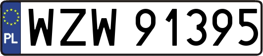 WZW91395