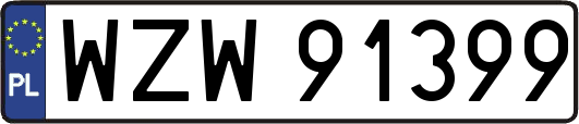 WZW91399