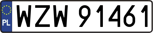WZW91461