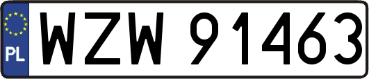 WZW91463