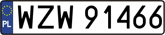 WZW91466