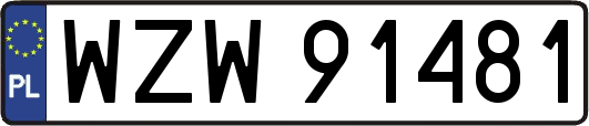 WZW91481