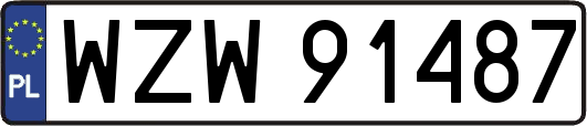 WZW91487