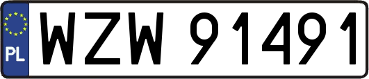 WZW91491